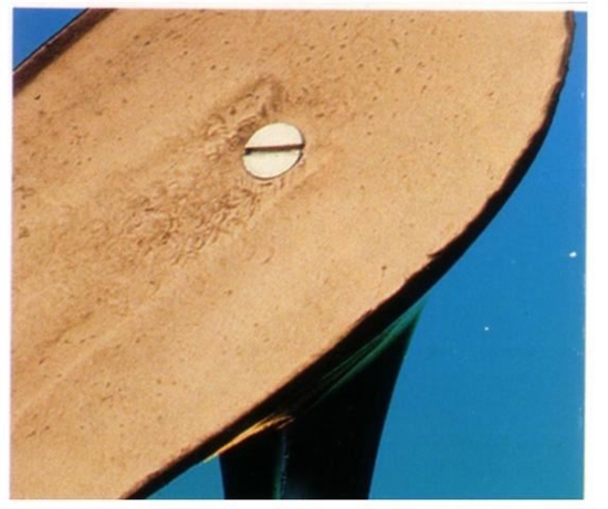 Picture of SCREWS FOR HEELS