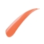 Picture of SHOEHORN DYNA